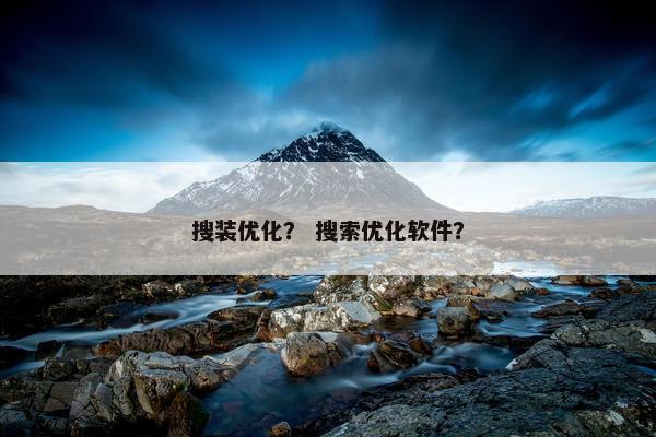 搜装优化？ 搜索优化软件？
