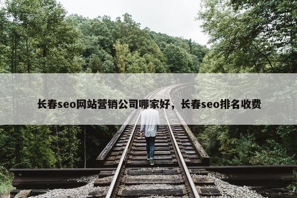 长春seo网站营销公司哪家好，长春seo排名收费