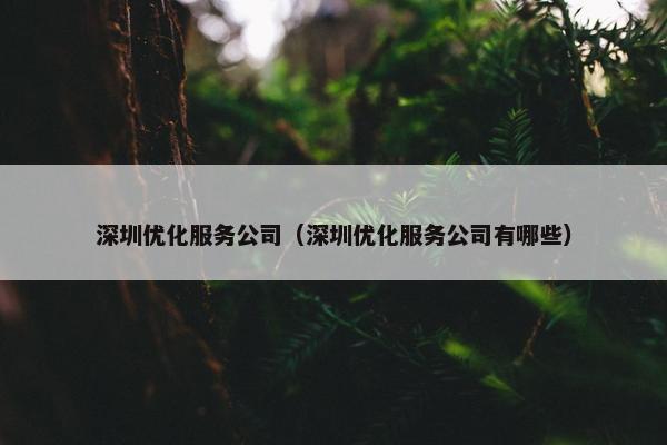 深圳优化服务公司（深圳优化服务公司有哪些）