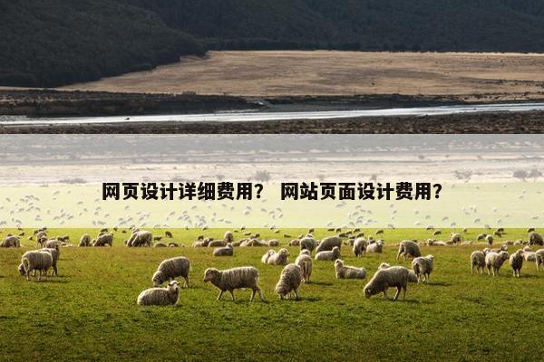 网页设计详细费用？ 网站页面设计费用？