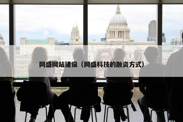 网盛网站建设（网盛科技的融资方式）