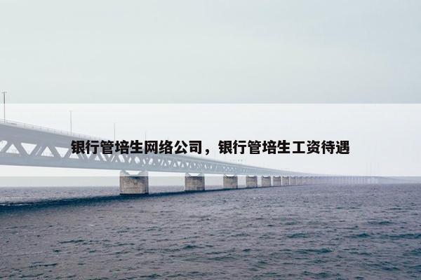 银行管培生网络公司，银行管培生工资待遇