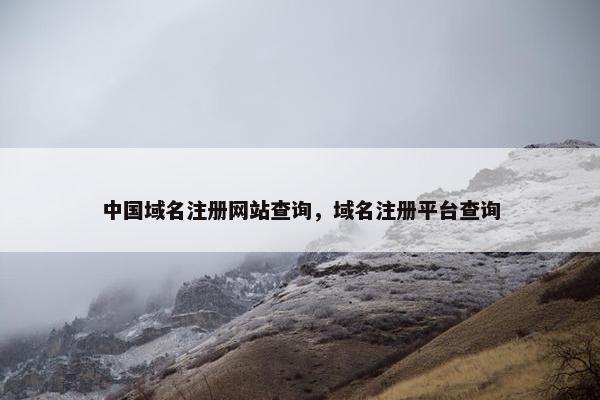 中国域名注册网站查询，域名注册平台查询