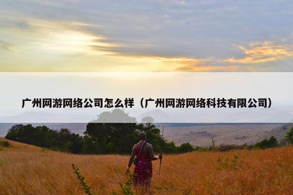 广州网游网络公司怎么样（广州网游网络科技有限公司）