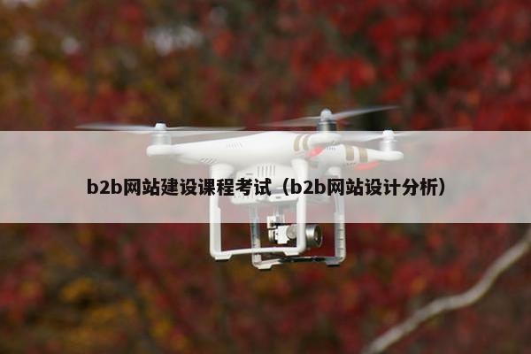b2b网站建设课程考试（b2b网站设计分析）