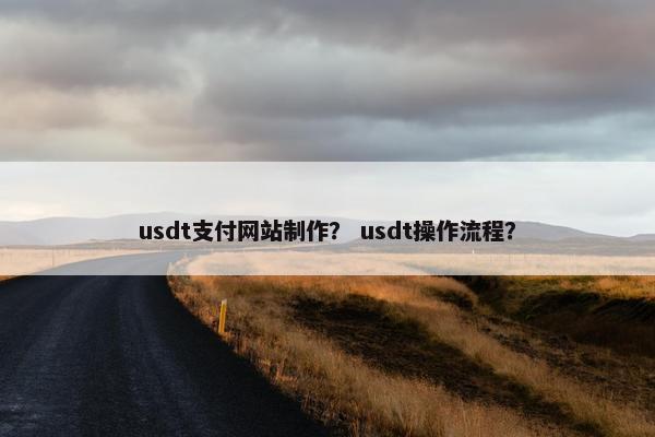usdt支付网站制作？ usdt操作流程？