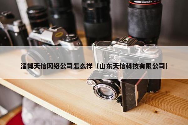 淄博天信网络公司怎么样（山东天信科技有限公司）