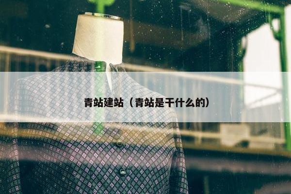 青站建站（青站是干什么的）