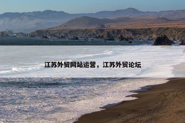 江苏外贸网站运营，江苏外贸论坛