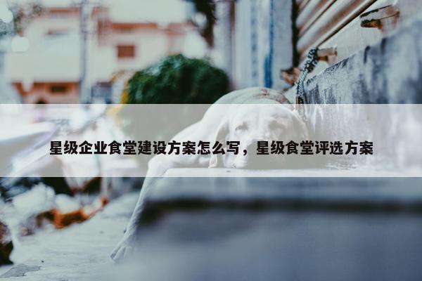 星级企业食堂建设方案怎么写，星级食堂评选方案