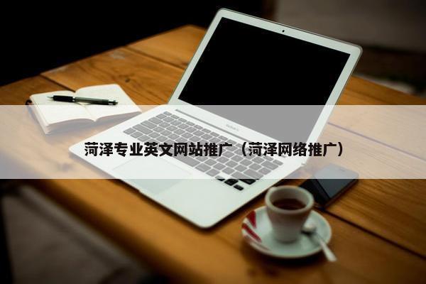 菏泽专业英文网站推广（菏泽网络推广）