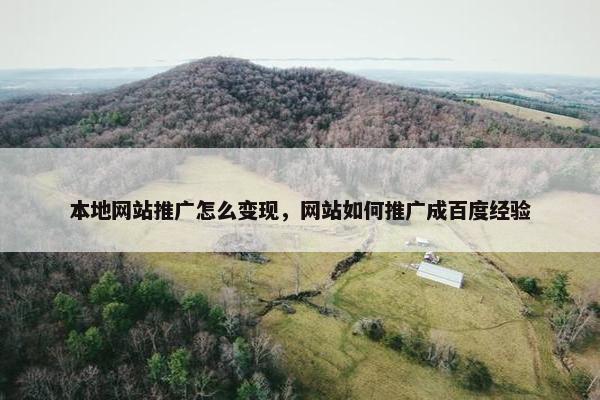 本地网站推广怎么变现，网站如何推广成百度经验