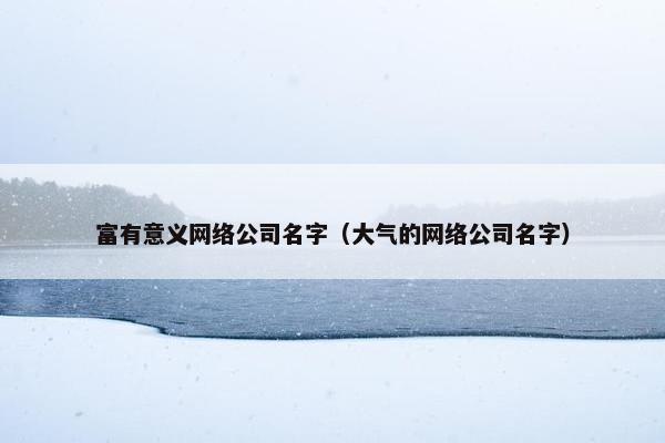 富有意义网络公司名字（大气的网络公司名字）