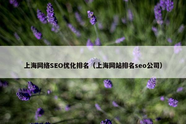 上海网络SEO优化排名（上海网站排名seo公司）