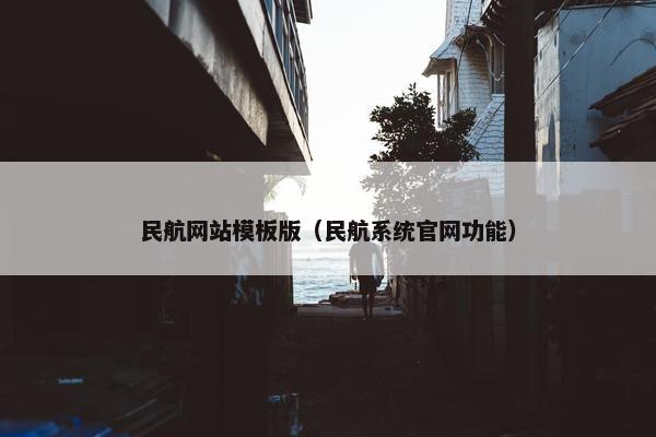 民航网站模板版（民航系统官网功能）