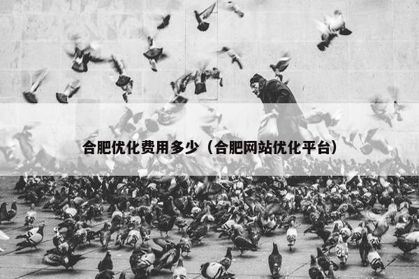 合肥优化费用多少（合肥网站优化平台）