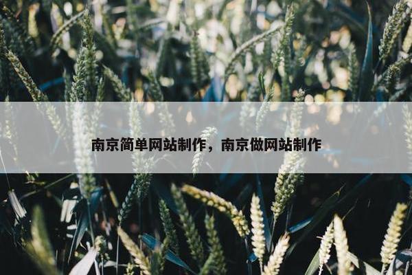 南京简单网站制作，南京做网站制作