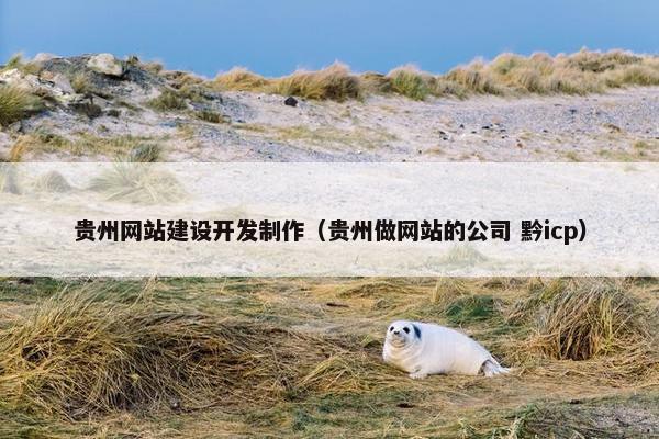 贵州网站建设开发制作（贵州做网站的公司 黔icp）