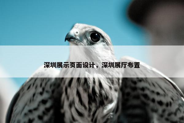 深圳展示页面设计，深圳展厅布置