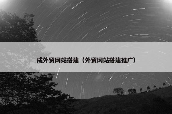 成外贸网站搭建（外贸网站搭建推广）