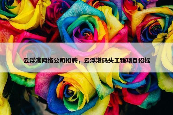 云浮港网络公司招聘，云浮港码头工程项目招标