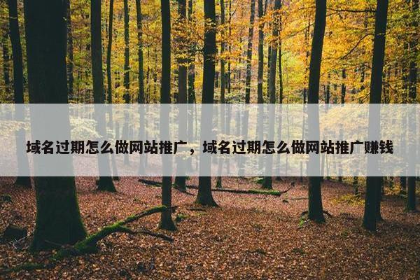 域名过期怎么做网站推广，域名过期怎么做网站推广赚钱