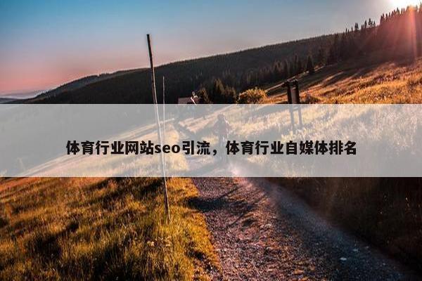 体育行业网站seo引流，体育行业自媒体排名