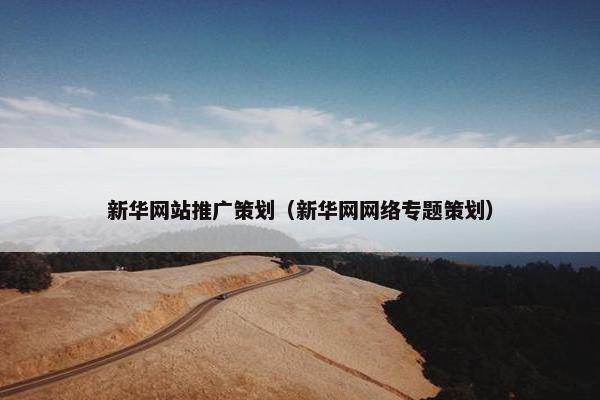 新华网站推广策划（新华网网络专题策划）