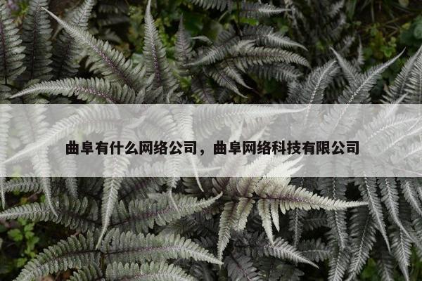 曲阜有什么网络公司，曲阜网络科技有限公司