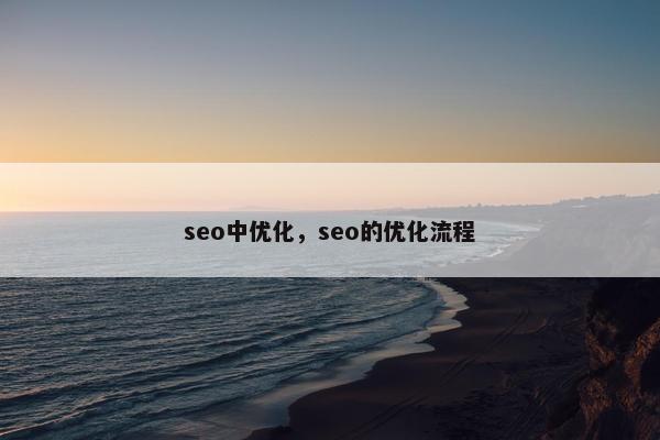 seo中优化，seo的优化流程