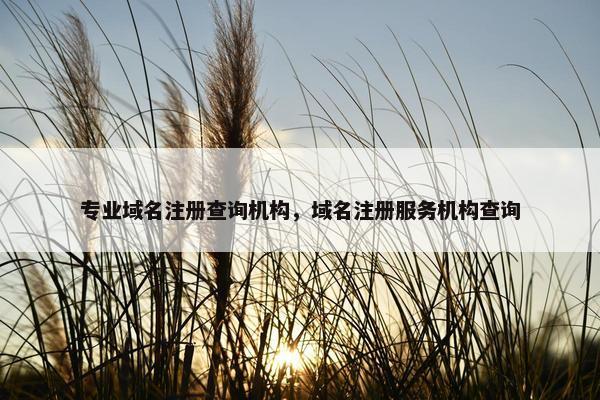 专业域名注册查询机构，域名注册服务机构查询