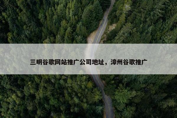 三明谷歌网站推广公司地址，漳州谷歌推广