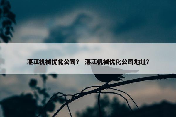 湛江机械优化公司？ 湛江机械优化公司地址？