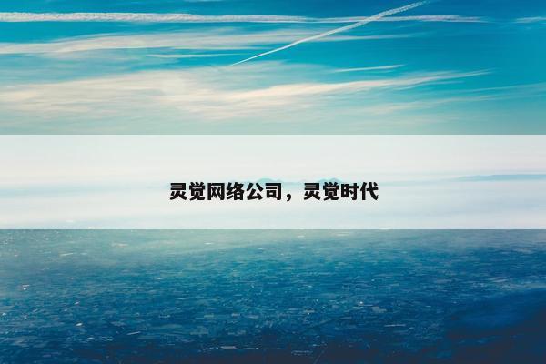 灵觉网络公司，灵觉时代