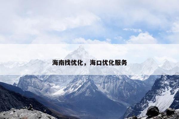 海南找优化，海口优化服务