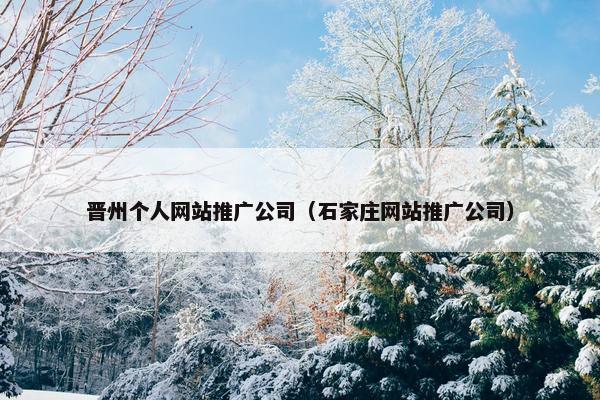 晋州个人网站推广公司（石家庄网站推广公司）