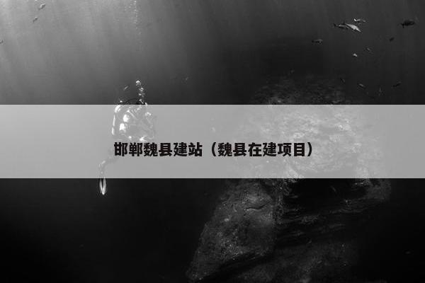 邯郸魏县建站（魏县在建项目）