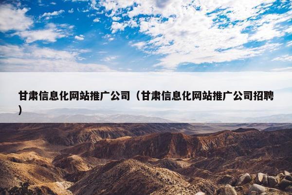 甘肃信息化网站推广公司（甘肃信息化网站推广公司招聘）