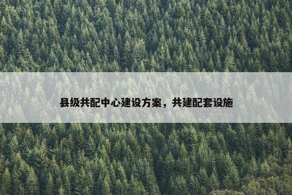 县级共配中心建设方案，共建配套设施
