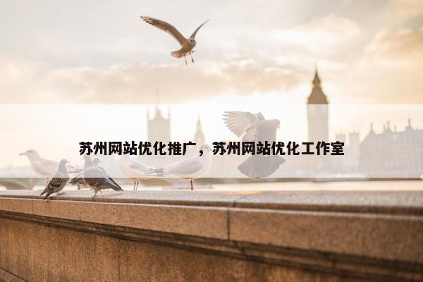 苏州网站优化推广，苏州网站优化工作室