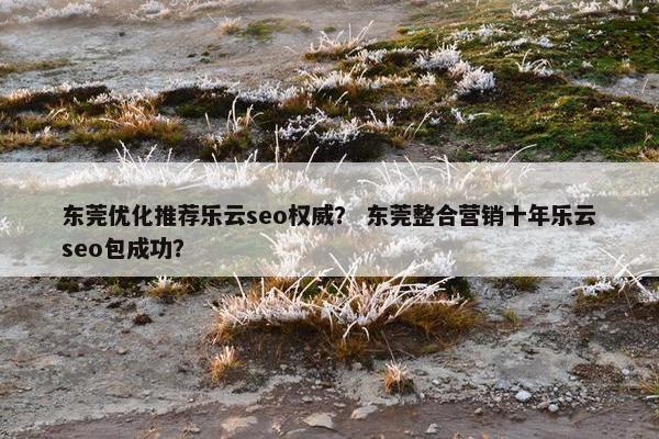 东莞优化推荐乐云seo权威？ 东莞整合营销十年乐云seo包成功？