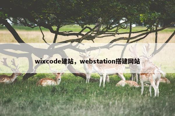 wixcode建站，webstation搭建网站