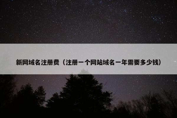 新网域名注册费（注册一个网站域名一年需要多少钱）