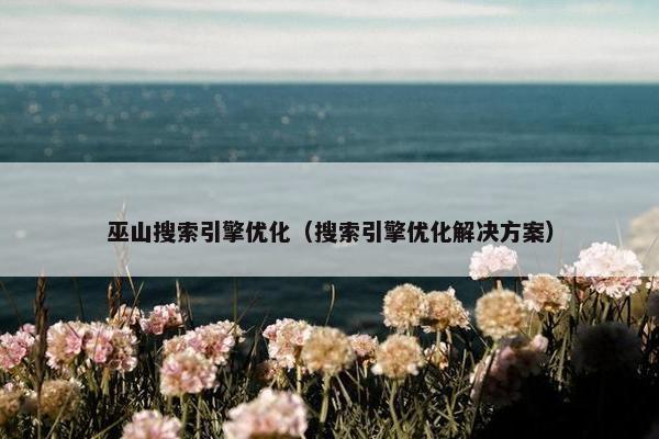 巫山搜索引擎优化（搜索引擎优化解决方案）