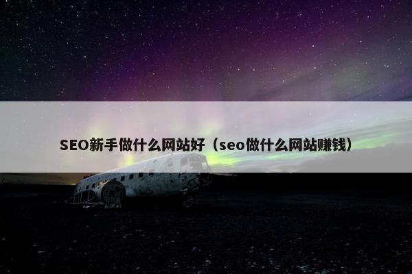 SEO新手做什么网站好（seo做什么网站赚钱）