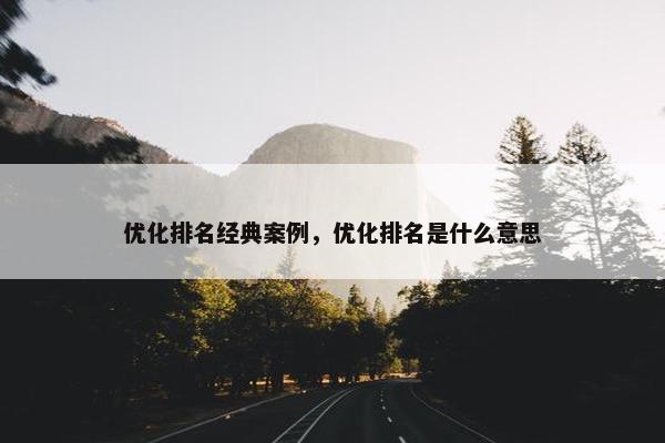 优化排名经典案例，优化排名是什么意思