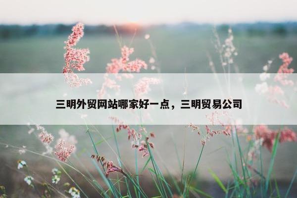 三明外贸网站哪家好一点，三明贸易公司
