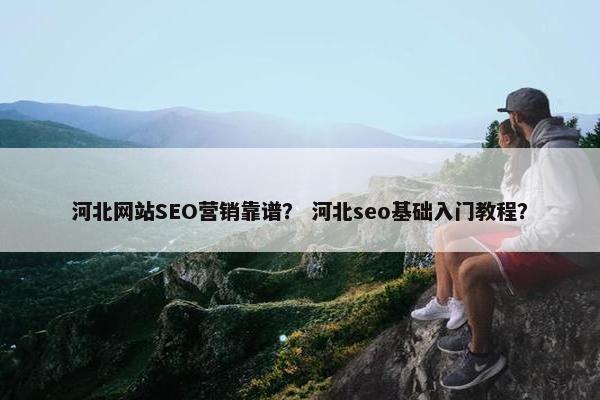 河北网站SEO营销靠谱？ 河北seo基础入门教程？