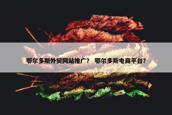 鄂尔多斯外贸网站推广？ 鄂尔多斯电商平台？