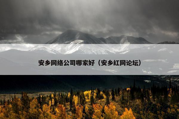 安乡网络公司哪家好（安乡红网论坛）
